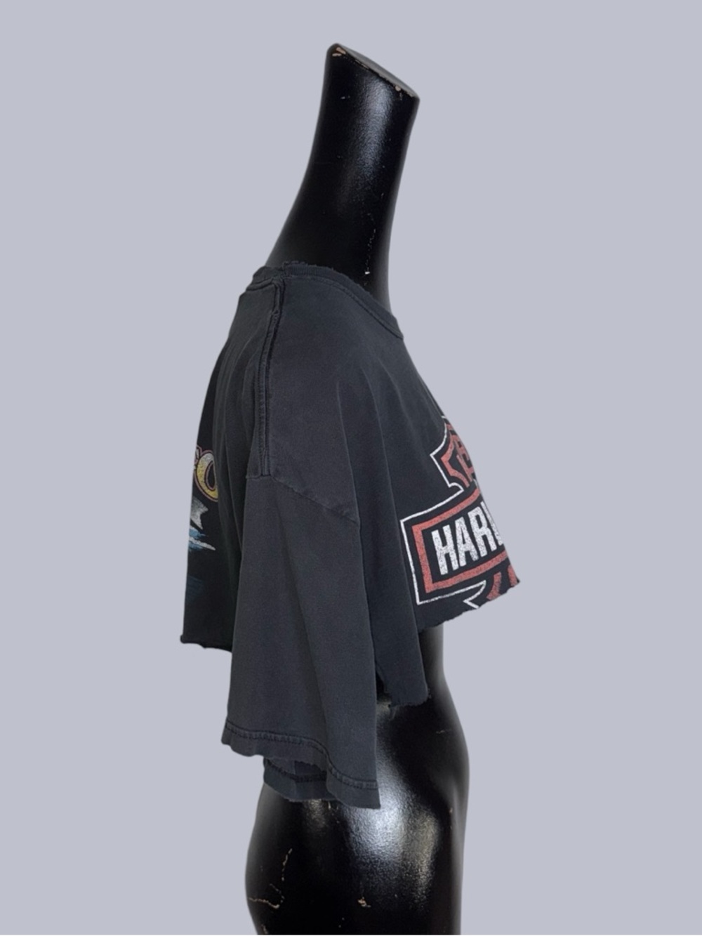 Reworked Harley Davidson cropped distressed t-shirt - Picture 7 of 11